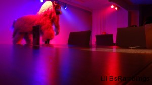 Two men ina shisa dog coming on stage